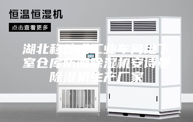 湖北移動(dòng)式工業(yè)車間地下室倉庫防潮除濕機(jī)安詩曼除濕機(jī)生產(chǎn)廠家