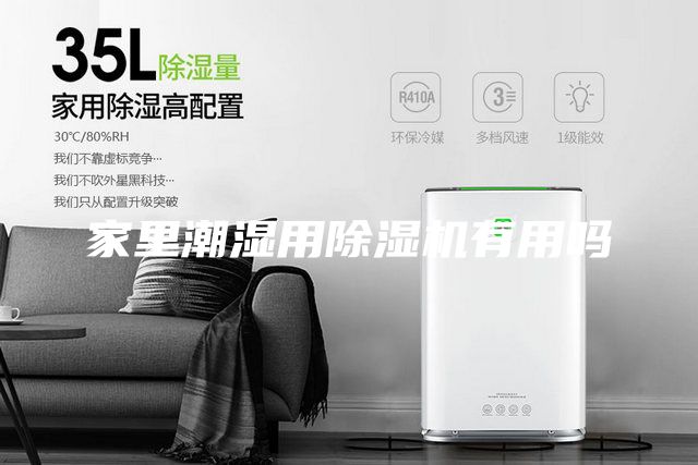 家里潮濕用除濕機(jī)有用嗎