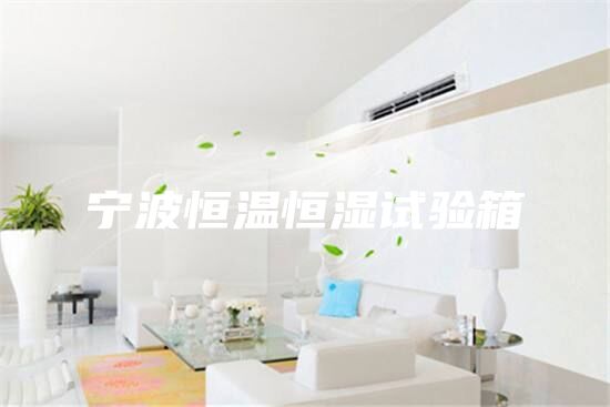 寧波恒溫恒濕試驗(yàn)箱