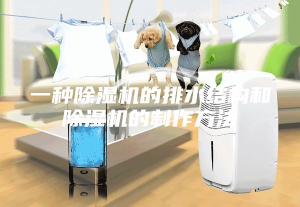 一種除濕機的排水結(jié)構(gòu)和除濕機的制作方法