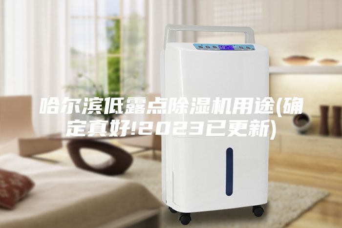 哈爾濱低露點(diǎn)除濕機(jī)用途(確定真好!2023已更新)