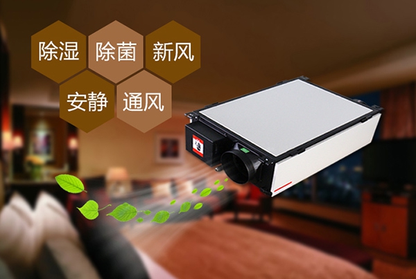 回南天如何防潮濕？選對(duì)除濕機(jī)高枕無憂