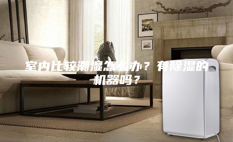 室內(nèi)比較潮濕怎么辦？有除濕的機器嗎？