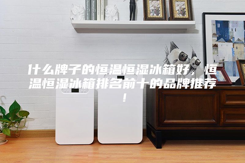 什么牌子的恒溫恒濕冰箱好，恒溫恒濕冰箱排名前十的品牌推薦！