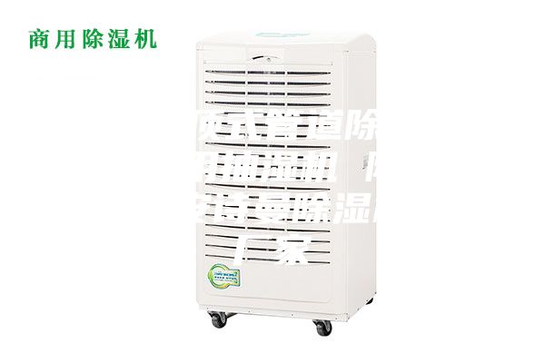 武漢吊頂式管道除濕機，游泳館用抽濕機 除濕防潮設備安詩曼除濕機生產(chǎn)廠家