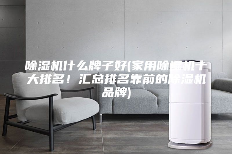 除濕機(jī)什么牌子好(家用除濕機(jī)十大排名！匯總排名靠前的除濕機(jī)品牌)