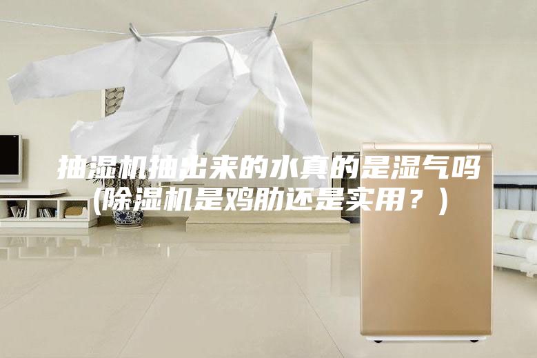 抽濕機(jī)抽出來的水真的是濕氣嗎(除濕機(jī)是雞肋還是實(shí)用？)
