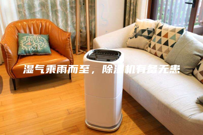 濕氣乘雨而至，除濕機有備無患