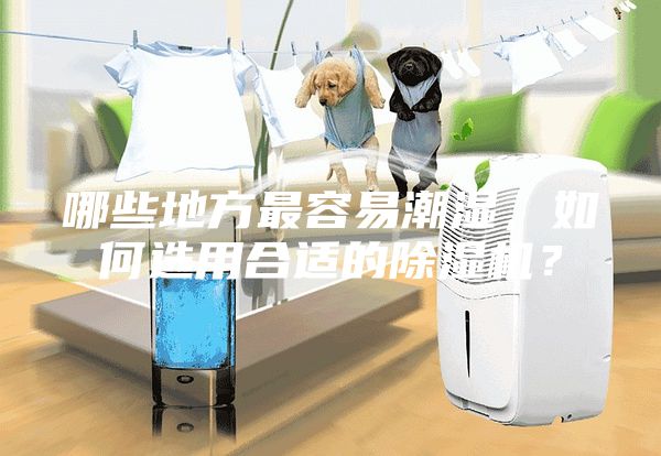 哪些地方最容易潮濕，如何選用合適的除濕機(jī)？