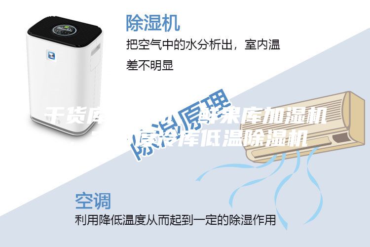 干貨庫除濕機，鮮果庫加濕機，2-8度冷庫低溫除濕機