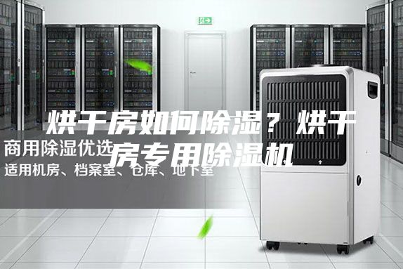 烘干房如何除濕？烘干房專用除濕機(jī)