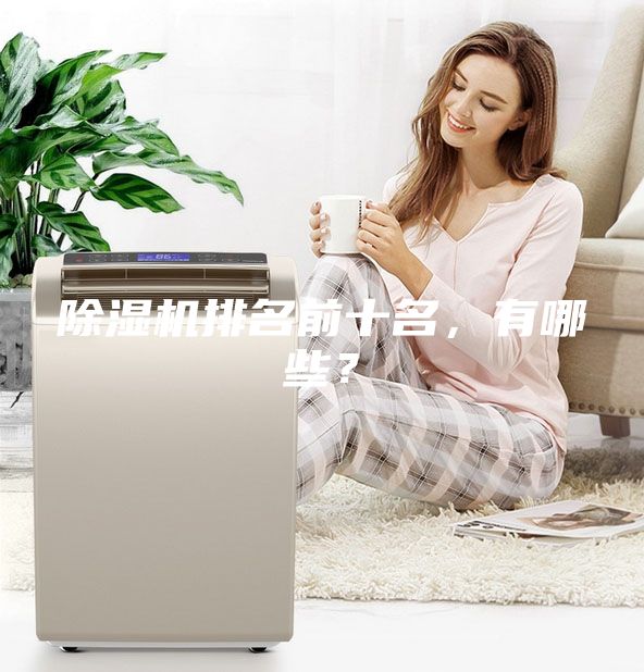 除濕機(jī)排名前十名，有哪些？