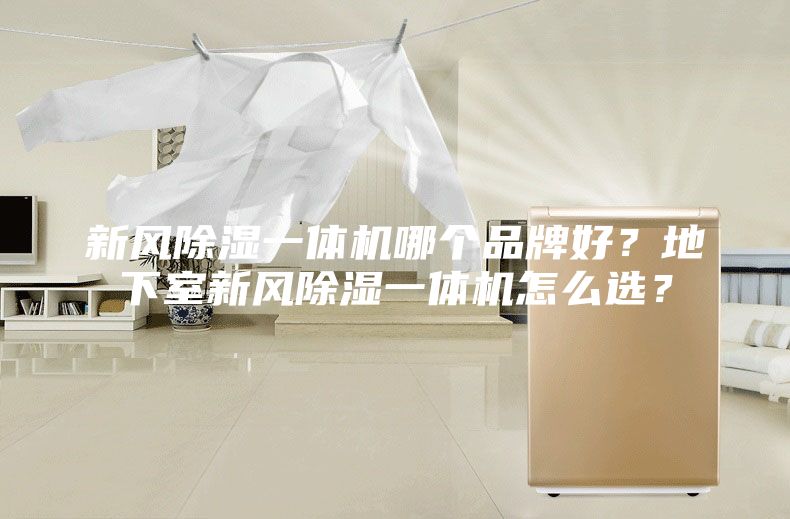 新風(fēng)除濕一體機(jī)哪個(gè)品牌好？地下室新風(fēng)除濕一體機(jī)怎么選？