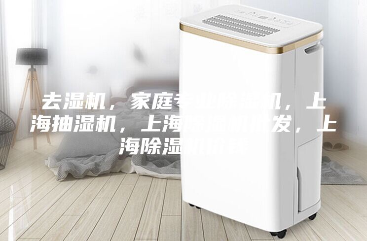去濕機(jī)，家庭專業(yè)除濕機(jī)，上海抽濕機(jī)，上海除濕機(jī)批發(fā)，上海除濕機(jī)價錢