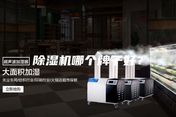 除濕機(jī)哪個(gè)牌子好？