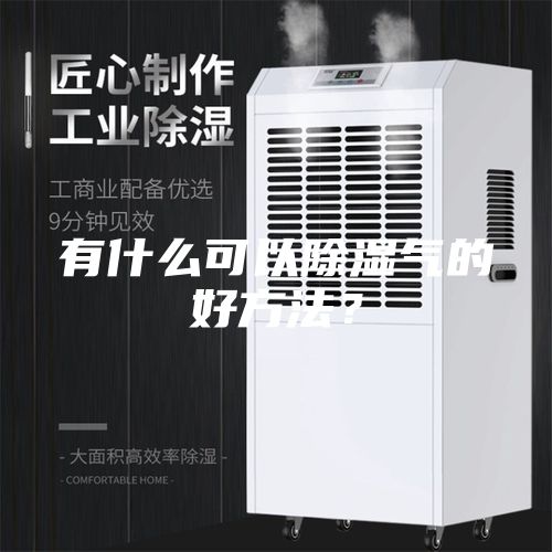 有什么可以除濕氣的好方法？