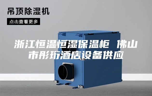 浙江恒溫恒濕保溫柜 佛山市彤珩酒店設(shè)備供應