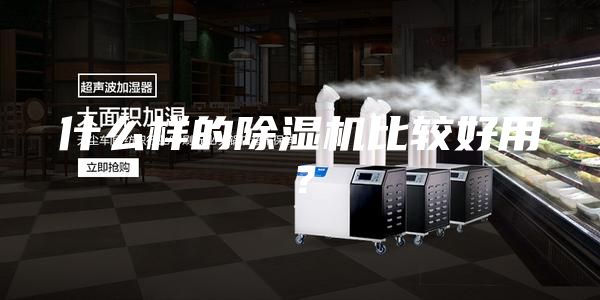什么樣的除濕機(jī)比較好用？