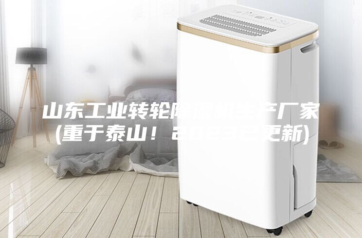 山東工業(yè)轉(zhuǎn)輪除濕機(jī)生產(chǎn)廠家(重于泰山！2023已更新)