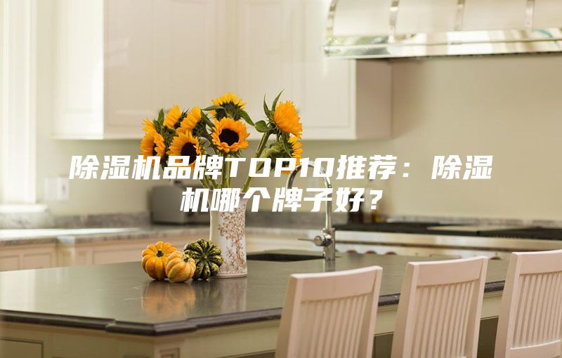 除濕機品牌TOP10推薦：除濕機哪個牌子好？