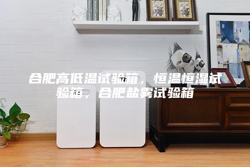 合肥高低溫試驗(yàn)箱，恒溫恒濕試驗(yàn)箱，合肥鹽霧試驗(yàn)箱