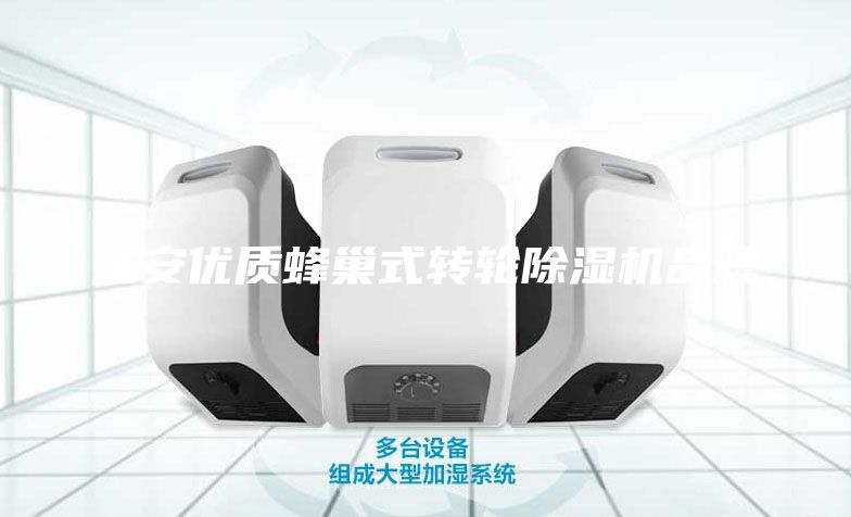 淮安優(yōu)質(zhì)蜂巢式轉輪除濕機品牌