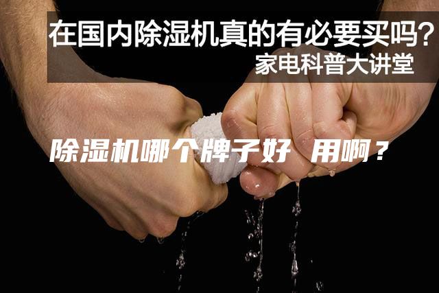 除濕機(jī)哪個(gè)牌子好 用??？