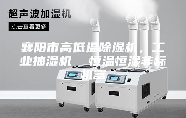 襄陽(yáng)市高低溫除濕機(jī)，工業(yè)抽濕機(jī)  恒溫恒濕非標(biāo)機(jī)器