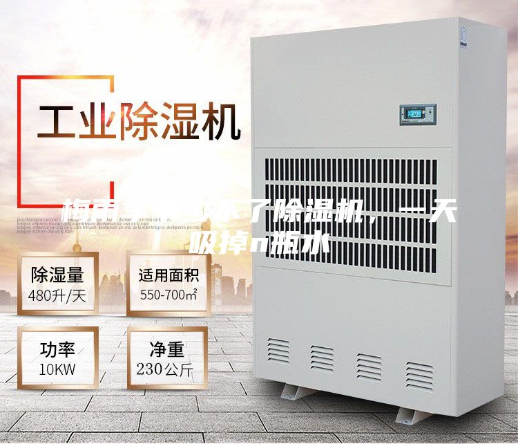 梅雨季節(jié)少不了除濕機，一天吸掉n瓶水