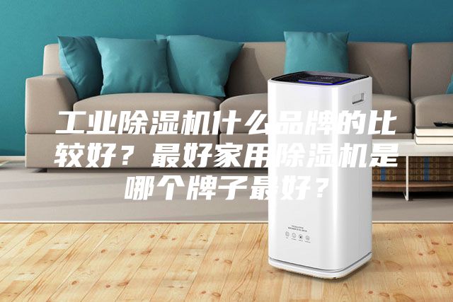 工業(yè)除濕機(jī)什么品牌的比較好？最好家用除濕機(jī)是哪個牌子最好？