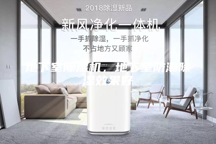 地下室除濕機(jī)，地下室防潮除濕效果好