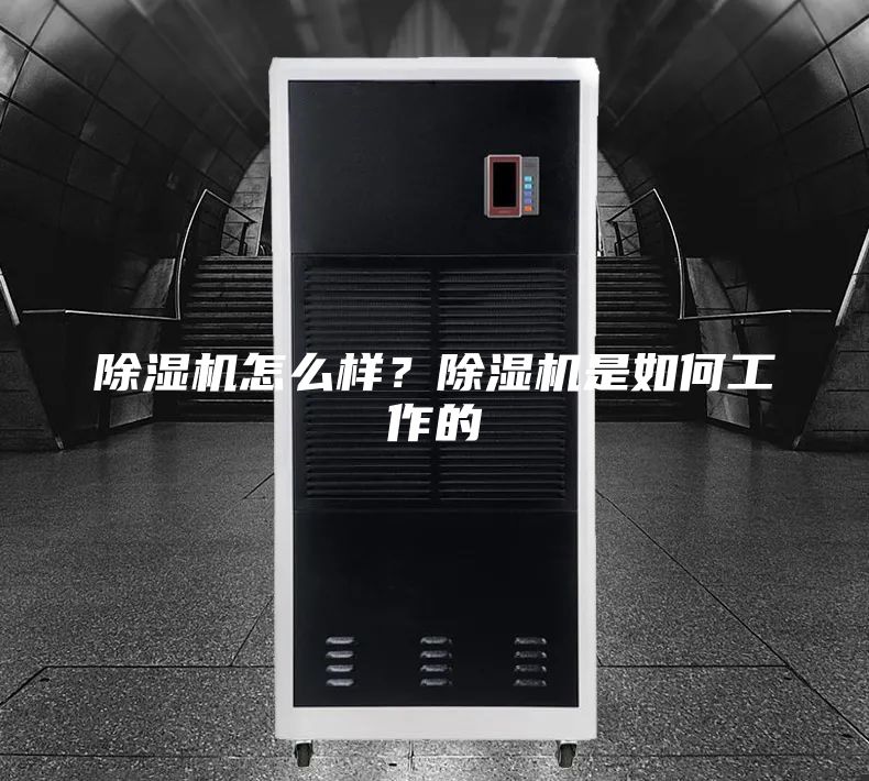 除濕機怎么樣？除濕機是如何工作的
