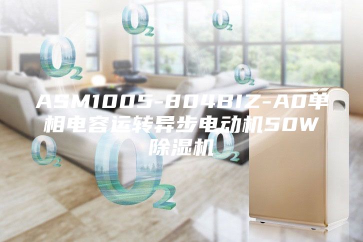 ASM1005-804BIZ-A0單相電容運(yùn)轉(zhuǎn)異步電動(dòng)機(jī)50W除濕機(jī)