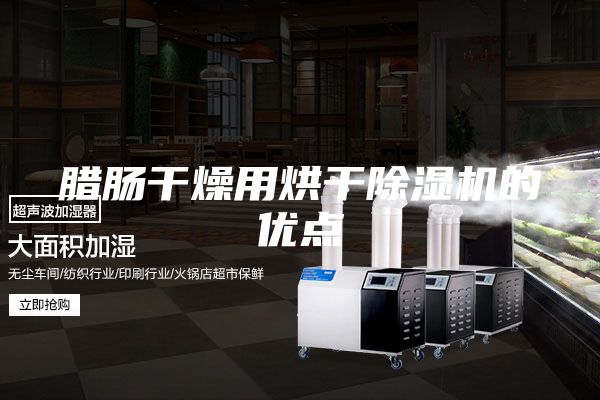 臘腸干燥用烘干除濕機(jī)的優(yōu)點