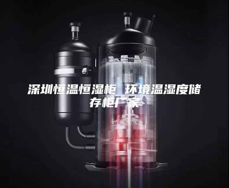 深圳恒溫恒濕柜 環(huán)境溫濕度儲(chǔ)存柜廠家