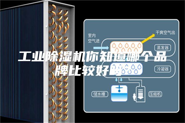 工業(yè)除濕機(jī)你知道哪個品牌比較好嗎？