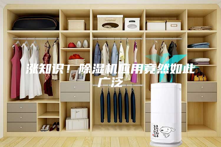 漲知識！除濕機應用竟然如此廣泛