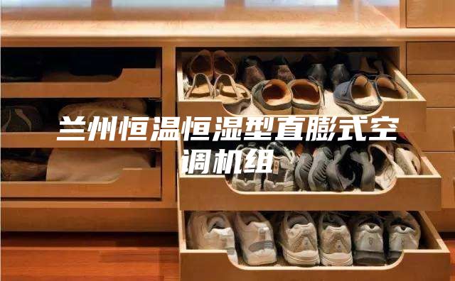 蘭州恒溫恒濕型直膨式空調(diào)機組