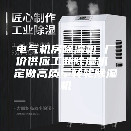 電氣機房除濕機 廠價供應工業(yè)除濕機 定做高質量轉輪除濕機