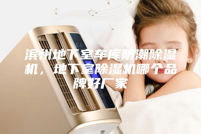 濱州地下室車庫(kù)防潮除濕機(jī)，地下室除濕機(jī)哪個(gè)品牌好廠家