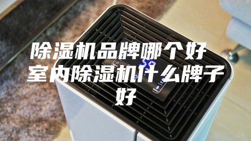 除濕機(jī)品牌哪個好 室內(nèi)除濕機(jī)什么牌子好