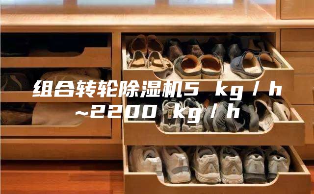 組合轉(zhuǎn)輪除濕機5 kg／h~2200 kg／h