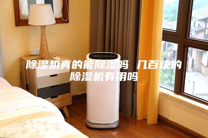 除濕機(jī)真的能除濕嗎 幾百塊的除濕機(jī)有用嗎