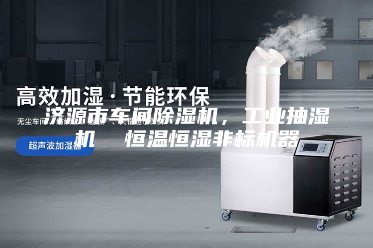 濟(jì)源市車間除濕機(jī)，工業(yè)抽濕機(jī)  恒溫恒濕非標(biāo)機(jī)器