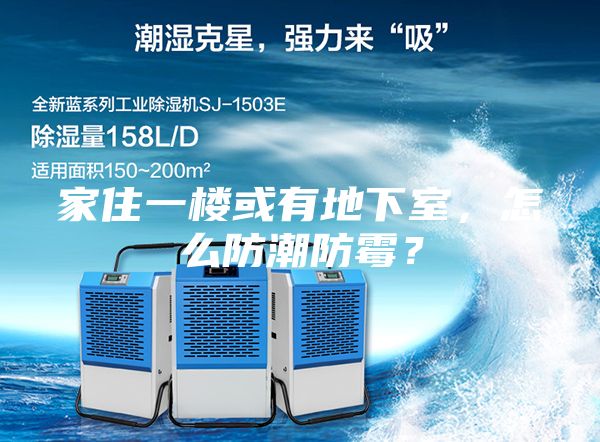 家住一樓或有地下室，怎么防潮防霉？