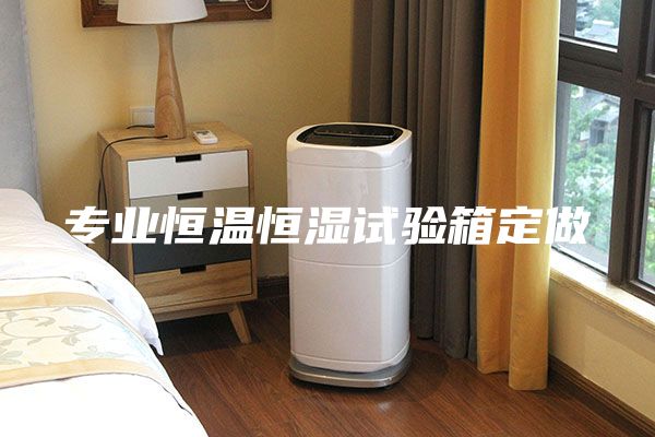 專(zhuān)業(yè)恒溫恒濕試驗(yàn)箱定做