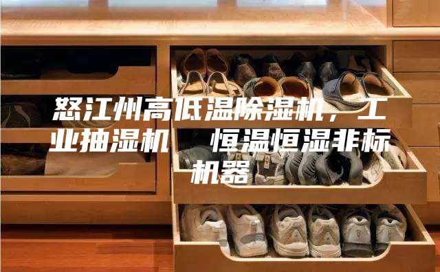 怒江州高低溫除濕機(jī)，工業(yè)抽濕機(jī)  恒溫恒濕非標(biāo)機(jī)器