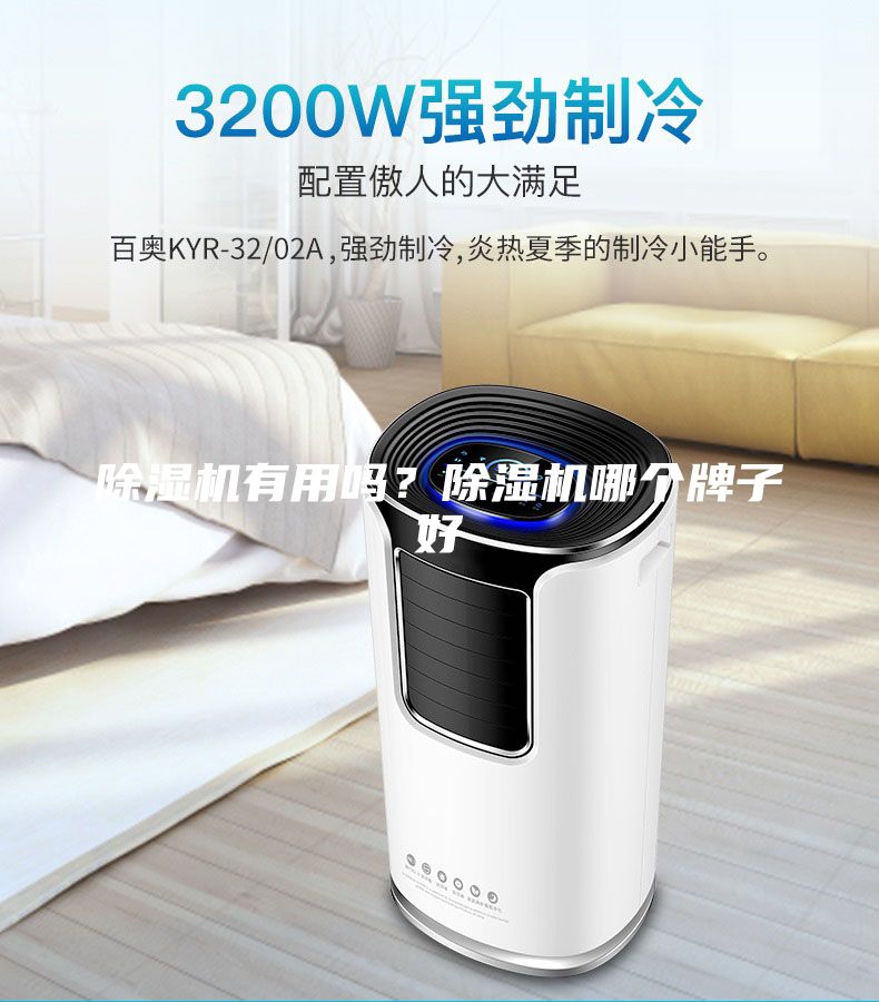 除濕機(jī)有用嗎？除濕機(jī)哪個牌子好