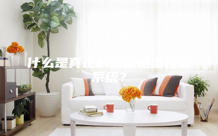 什么是真正的恒溫恒濕恒氧系統(tǒng)？