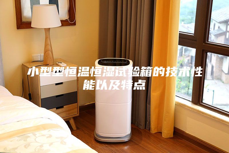 小型型恒溫恒濕試驗(yàn)箱的技術(shù)性能以及特點(diǎn)